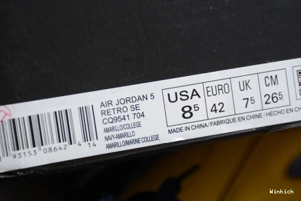 JORDAN 'MICHIGAN' AIR 5 CQ9541-704 1217
